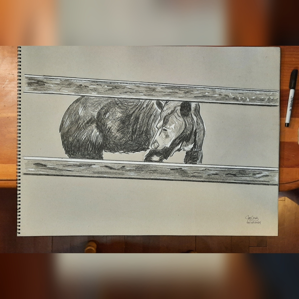 Original Graphite Pencil Bear Sketch Art 18x24